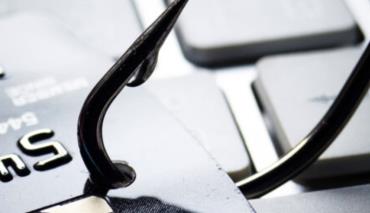 В Бресте задержан курьер мошенников с поличным — он перевозил $5 тыс. пенсионерки 